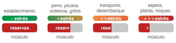 El Buen Trato es Correcto y Adem&aacute;s un Buen Negocio
