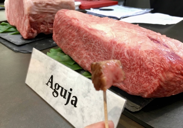Hida-gyu, La Nueva Carne Mimada de Jap&oacute;n que llega a Espa&ntilde;a