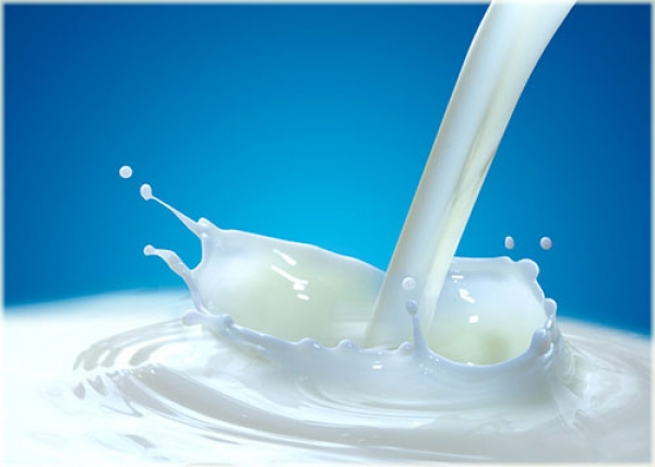 Nivelaci&oacute;n de Precios de Leche Genera Estabilidad a Productores Cruce&ntilde;os